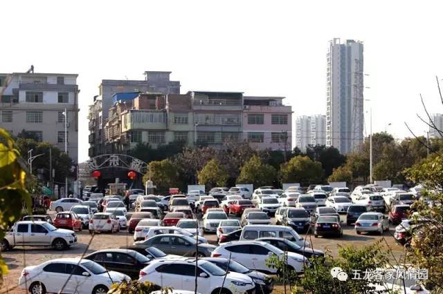 五一五龙客家风情园,五龙客家风情园免费游