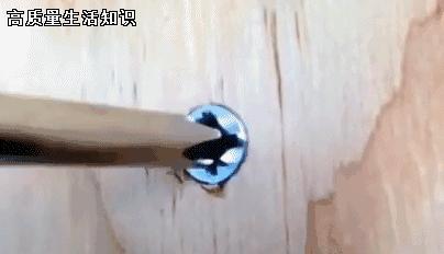 螺丝孔坏了拧不进去怎么办,螺丝拧秃了怎么取下