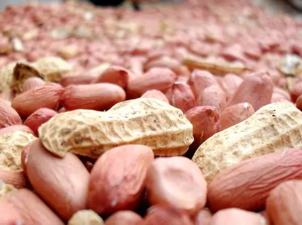 立春养生健康之道,立春调理肝气