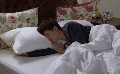 乳胶枕头的商品知识,乳胶枕介绍