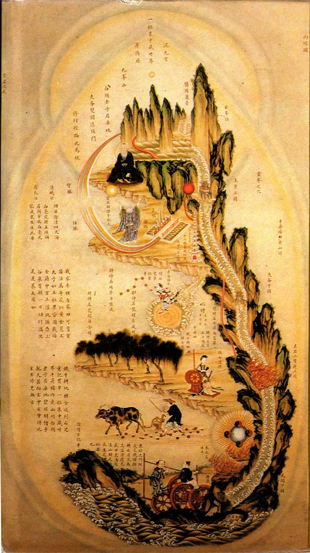 中医对奇经八脉的解释,倪海厦十二经络与奇经八脉简介