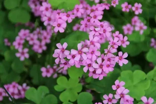 超实用杭州旅行全攻略,杭州攻略推荐