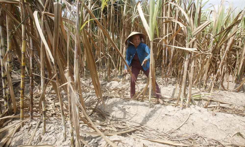 2016年以来天气变化,从气候变化看历史