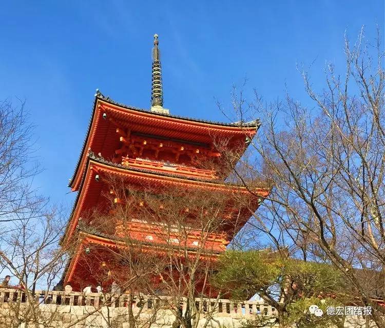 看完这些才知道，日本竟然没有德宏好