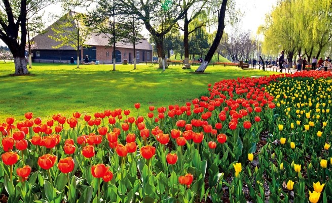 新的一年应该去哪里旅游,新的一年继续玩