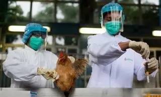 湖南h7n9禽流感病例,湖南治愈了多少例