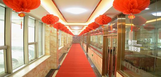 沈阳新东方,沈阳新东方浑南