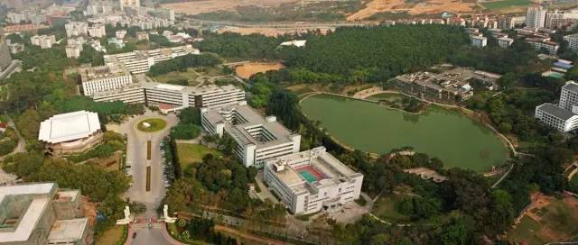 深圳为什么这么大,深圳为啥那么大