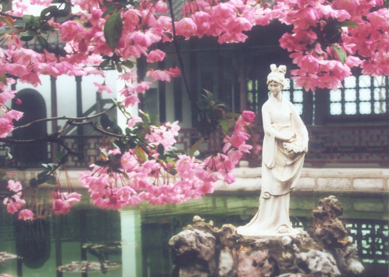 新的一年应该去哪里旅游,新的一年继续玩