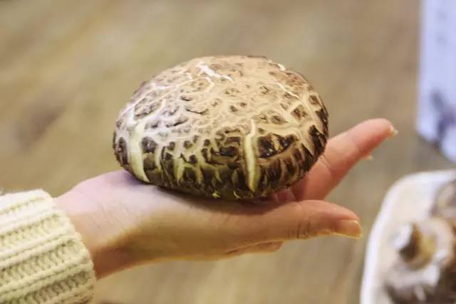 风味美食靓汤系列福建佛跳墙,顶级闽菜佛跳墙