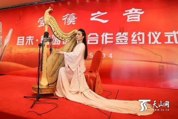 且末箜篌形象大使央视元宵晚会演奏箜篌