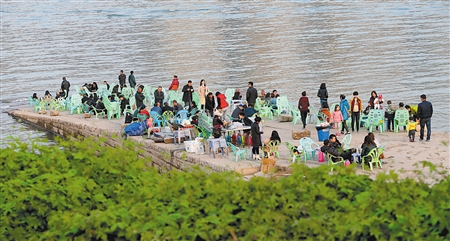 春花来报到*光春**无限好山城春意闹