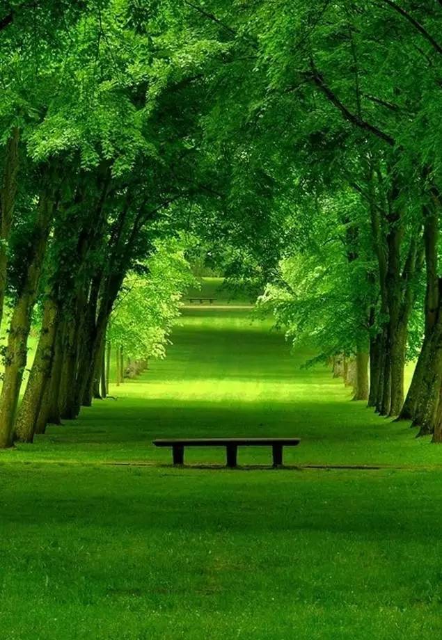 极品风光摄影作品,中国顶级风光摄影网