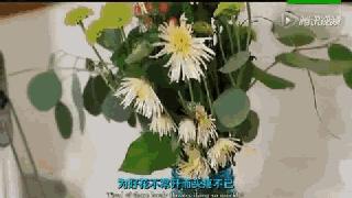 不小心掉进垃圾桶,不小心掉进了垃圾桶