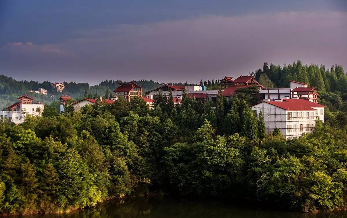 中国最粗壮的石柱,中国最粗壮的天然石柱