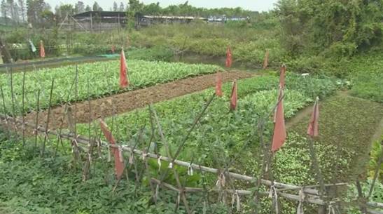 中川国际机场到兰州的城际列车 (中山到国际机场有多远)