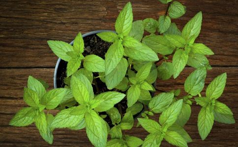 孕妇如何防辐射,孕妇防辐射的必要措施是什么