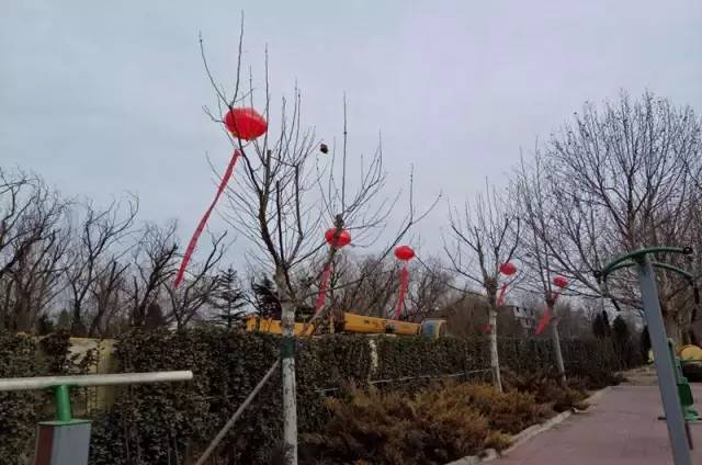 廊坊片区征迁安置补偿方案,廊坊大马坊村拆迁补偿