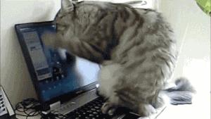 去深圳市儿童医院，别啥都排队了！这些“神器”请家长收好