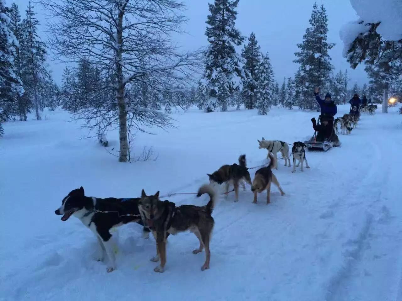 世界尽头的那个小镇 住着 35 人︱寿小姐