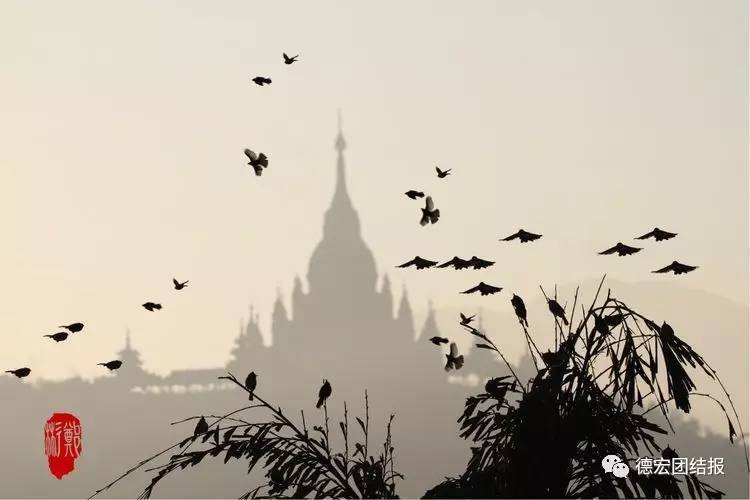 看完这些才知道，日本竟然没有德宏好