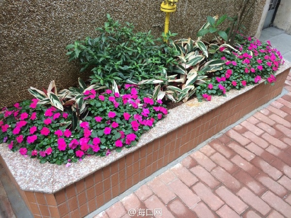 老城旧貌换新颜,老城区旧貌新颜