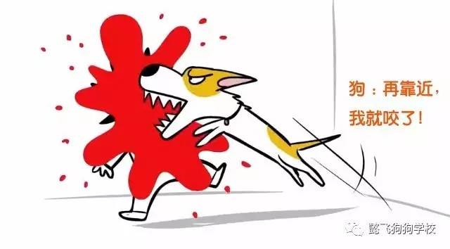 呼和浩特狗咬狗,呼和浩特被狗咬伤