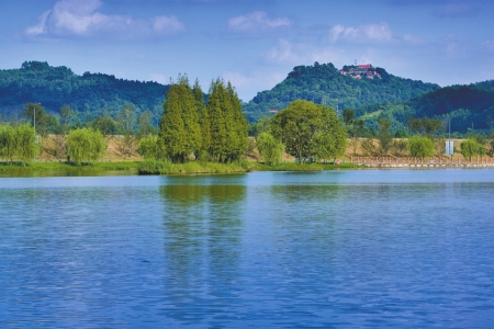 成都人20分钟飙到彭山下月看中国最长樱花长堤