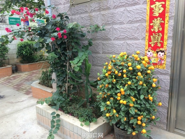 老城旧貌换新颜,老城区旧貌新颜