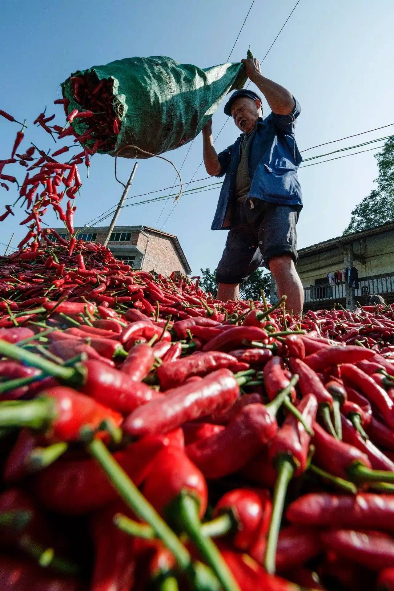 中国最粗壮的石柱,中国最粗壮的天然石柱