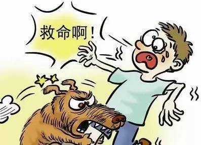 呼和浩特狗咬狗,呼和浩特被狗咬伤