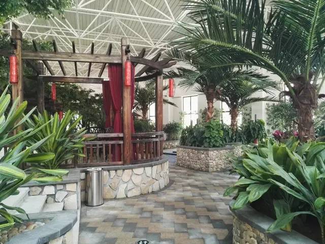 免费领取温泉票的地方,温泉优惠券免费领取