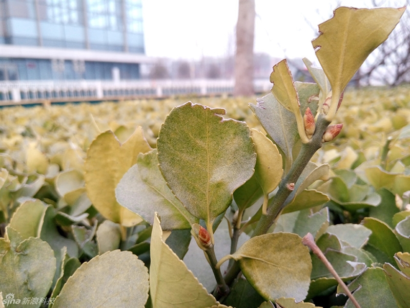 魅蓝5s快充更强,魅蓝5s耐用吗