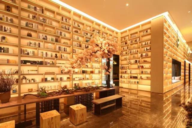 你的示范区，已经落后了！（二）