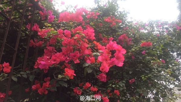 老城旧貌换新颜,老城区旧貌新颜