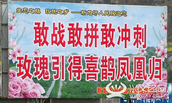 种植玫瑰助力乡村振兴,兴仁市新龙场镇玫瑰花基地