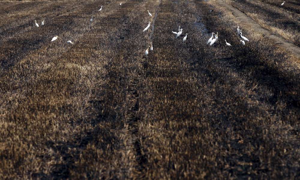 2016年以来天气变化,从气候变化看历史