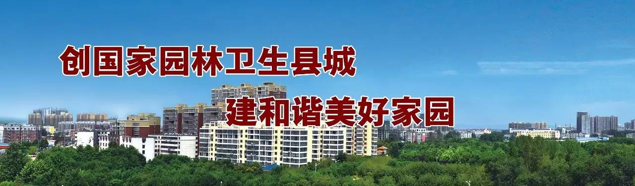 隆鑫通用2020业绩,隆鑫通用2019一季度业绩