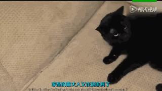 不小心掉进垃圾桶,不小心掉进了垃圾桶