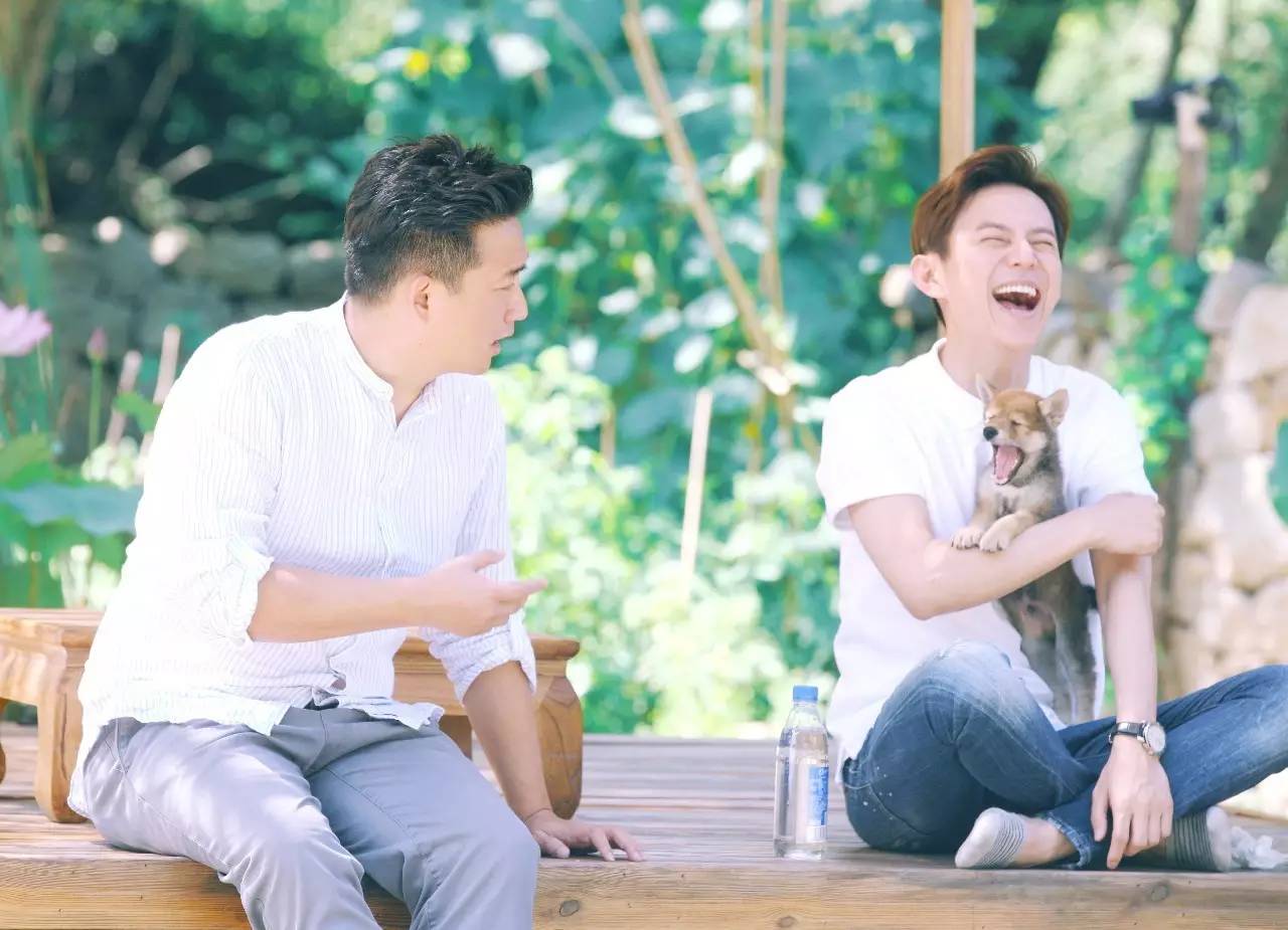 大张伟何炅谢娜,何炅大张伟王嘉尔