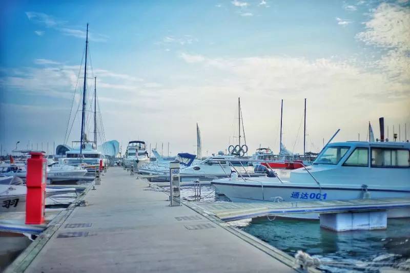 透过迪士尼，看帆船之都——青岛的华丽蜕变