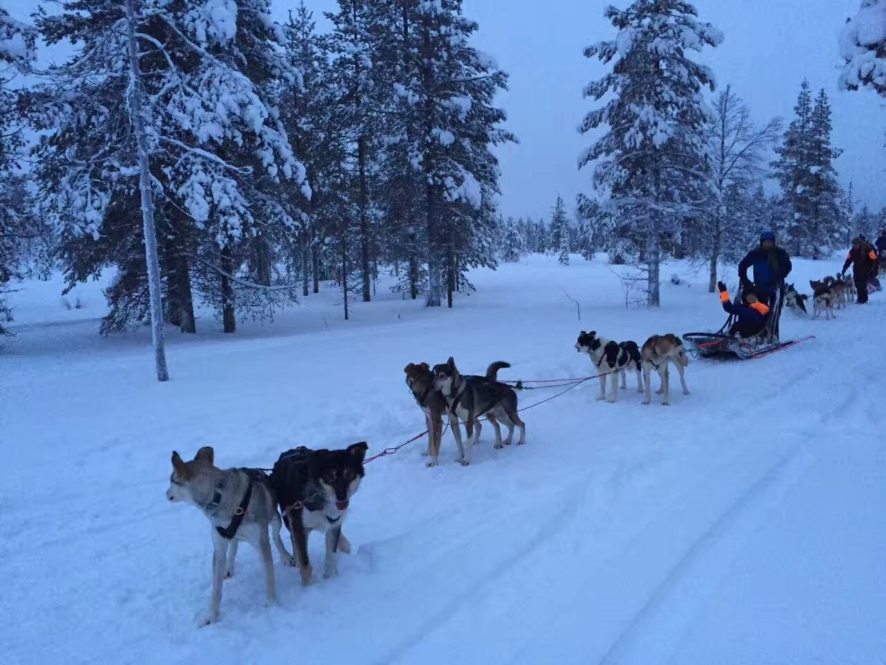 世界尽头的那个小镇 住着 35 人︱寿小姐