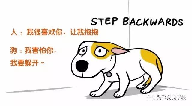 呼和浩特狗咬狗,呼和浩特被狗咬伤