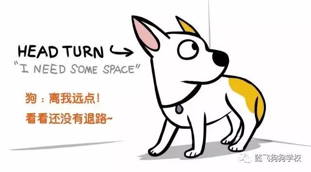 呼和浩特狗咬狗,呼和浩特被狗咬伤