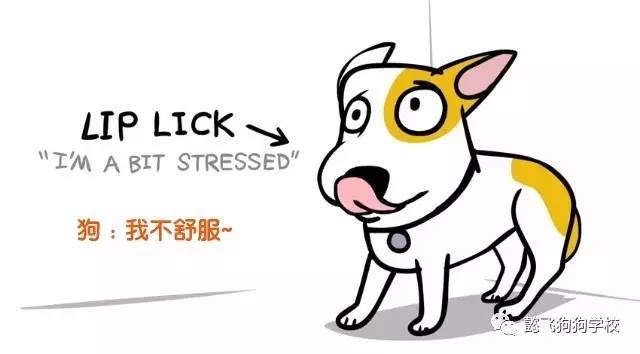 呼和浩特狗咬狗,呼和浩特被狗咬伤