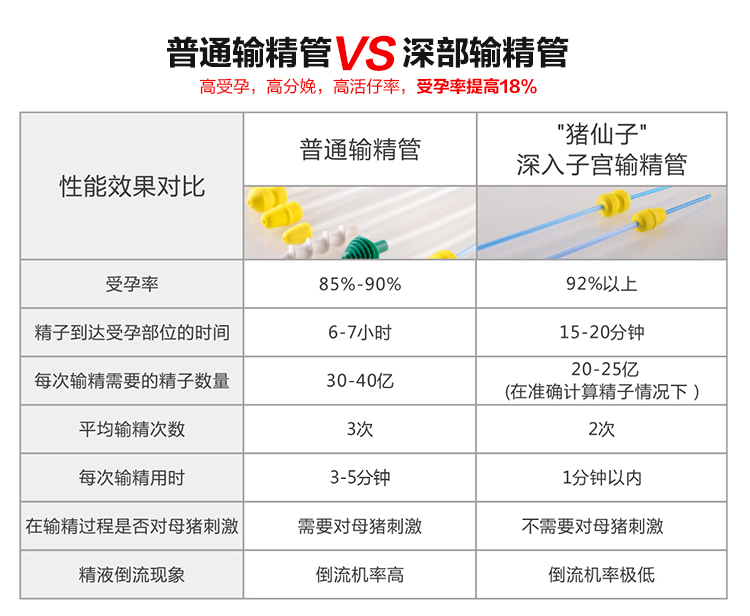 猪人工授精全流程高清,猪人工授精正确的操作方法
