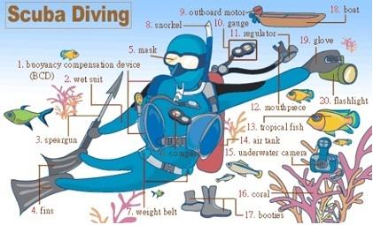 英语单词记忆口诀速记,干货英语单词记忆八大技巧