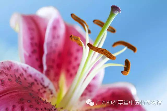 春季皮肤过敏吃什么食物最好,儿童春季皮肤过敏泛红发痒小妙招