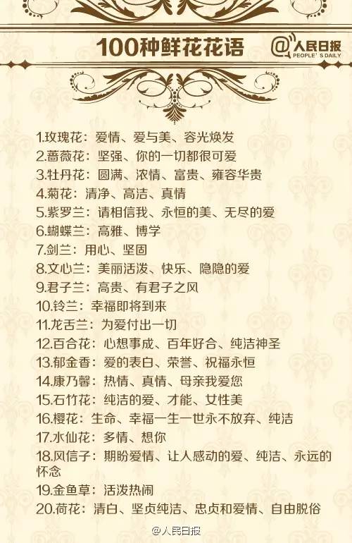 各种鲜花花语介绍大全简短,鲜花介绍花语大全简短一点