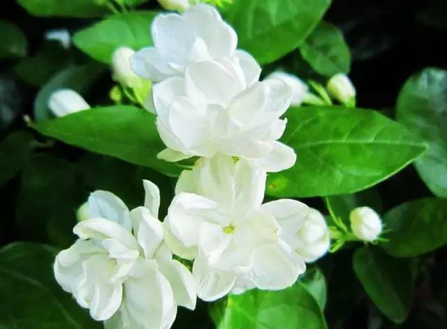 10首中国风音乐,中国风音乐最火的十首